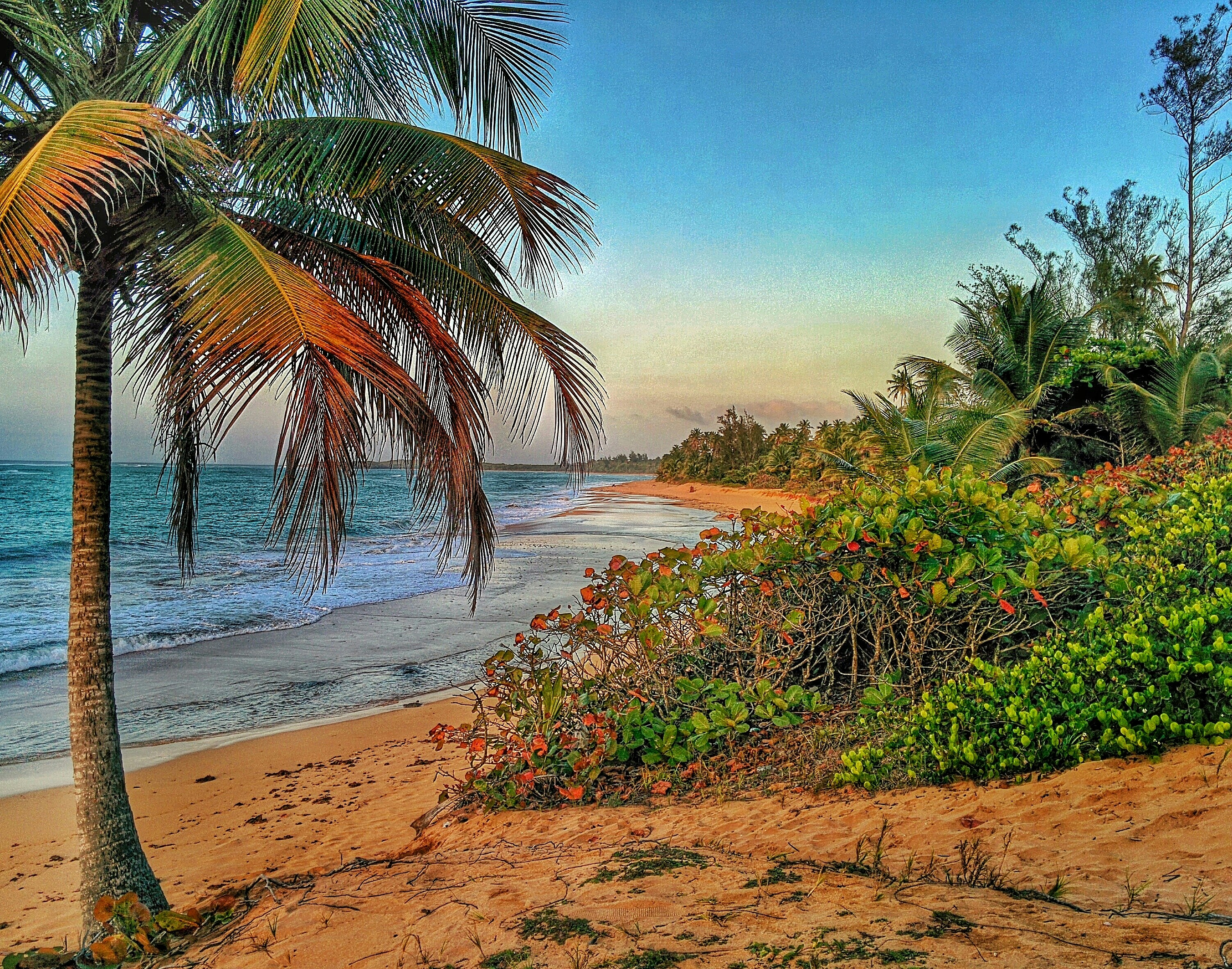 Free Unsplash photo from Angel De Jesus