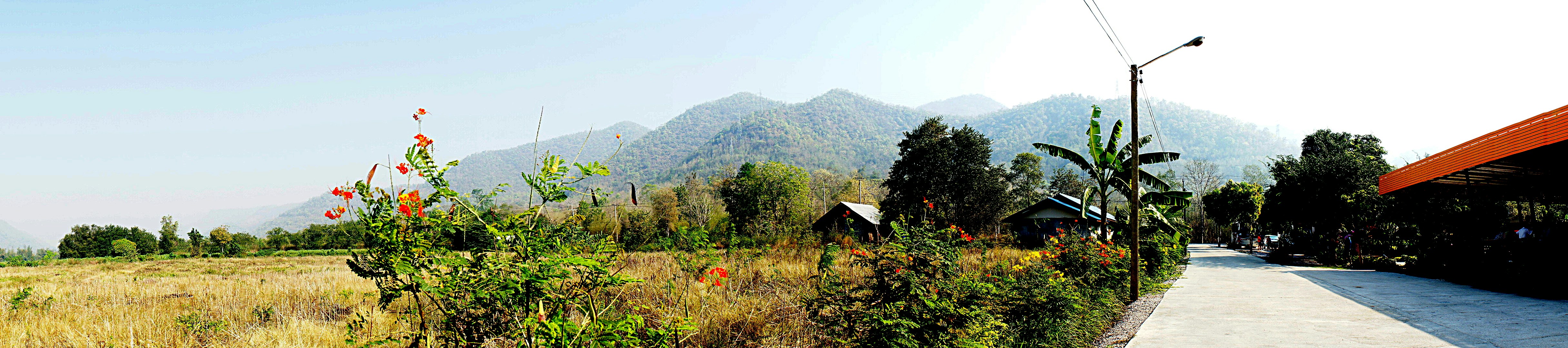 Free Unsplash photo from Alex Romsh