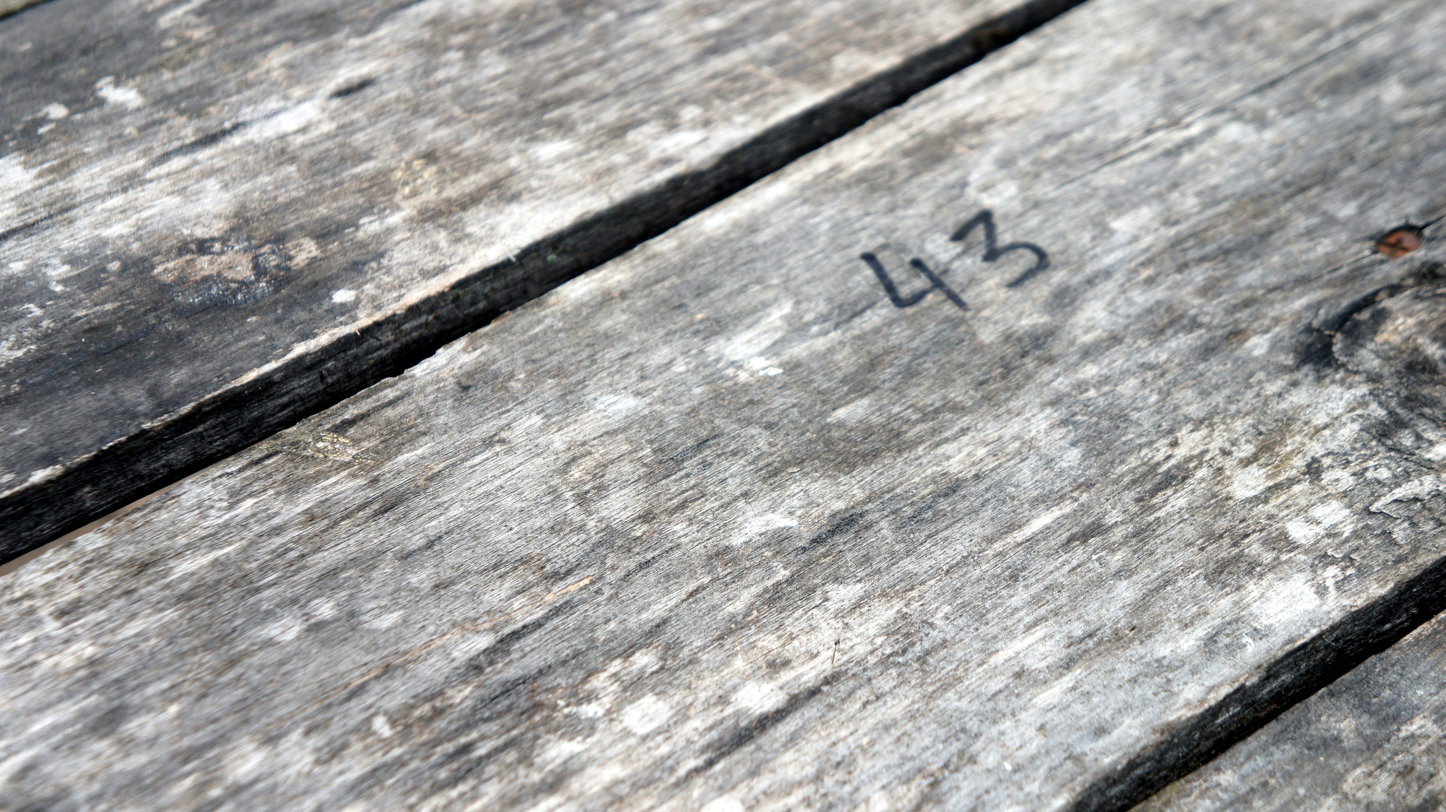 Free Unsplash photo from Alex Romsh