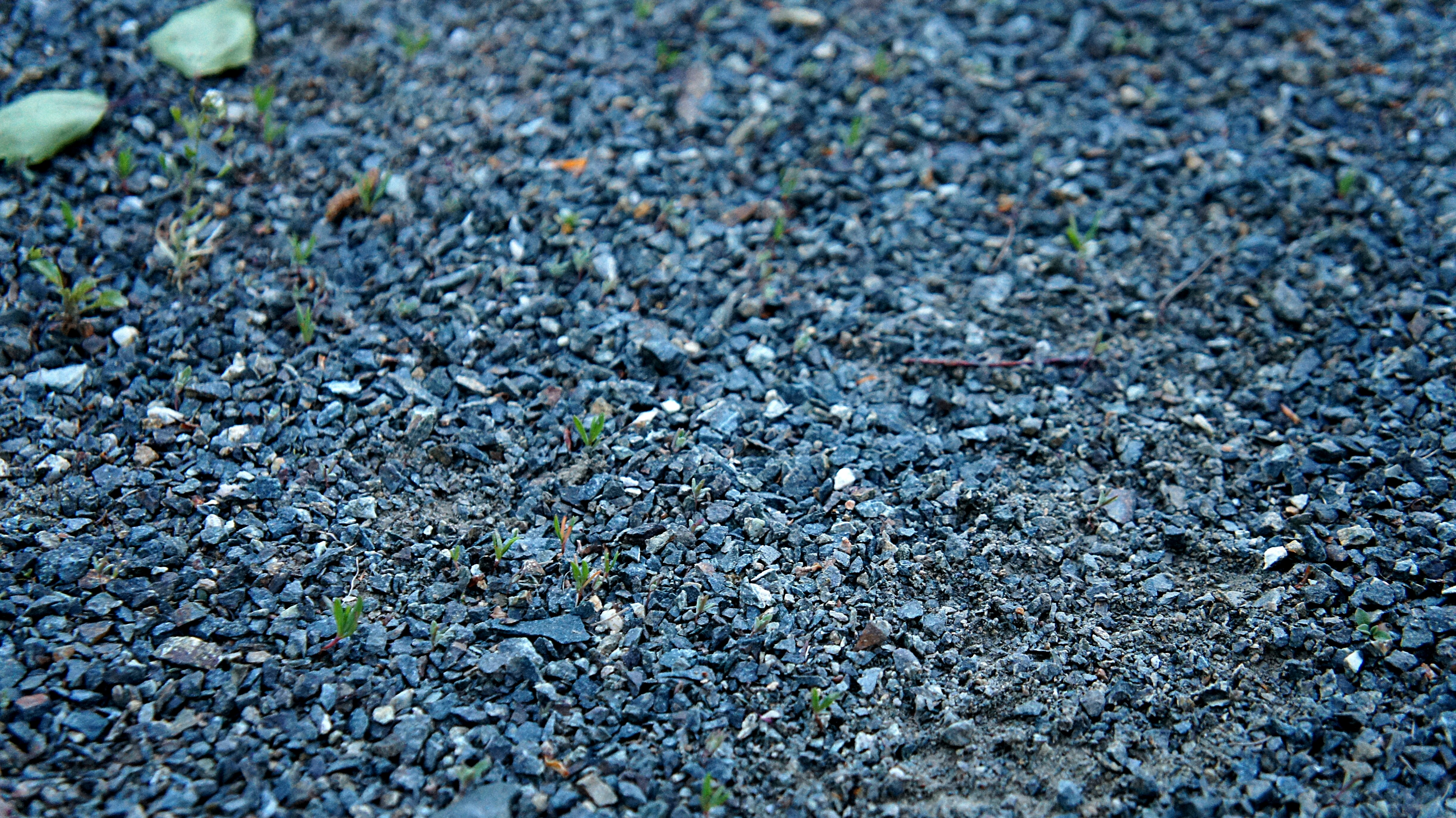 Free Unsplash photo from Alex Romsh