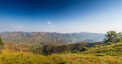 Rolling hills covered in grass and scattered trees extend into the distance under a clear blue sky. The landscape features gentle inclines and valleys with varying shades of green and brown.