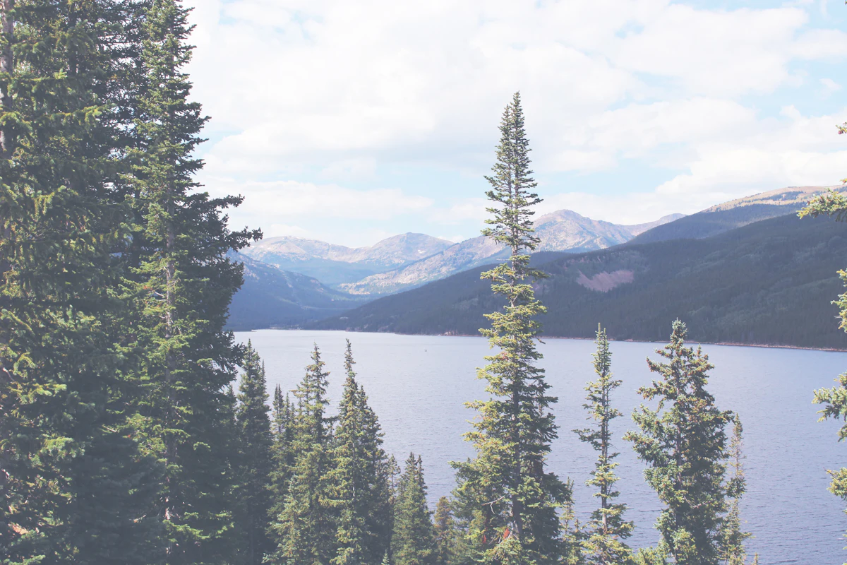 Tall pines in front of a mountain lake near Leadville, with a range behind