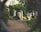 A freshly cleaned driveway with vibrant landscaping.