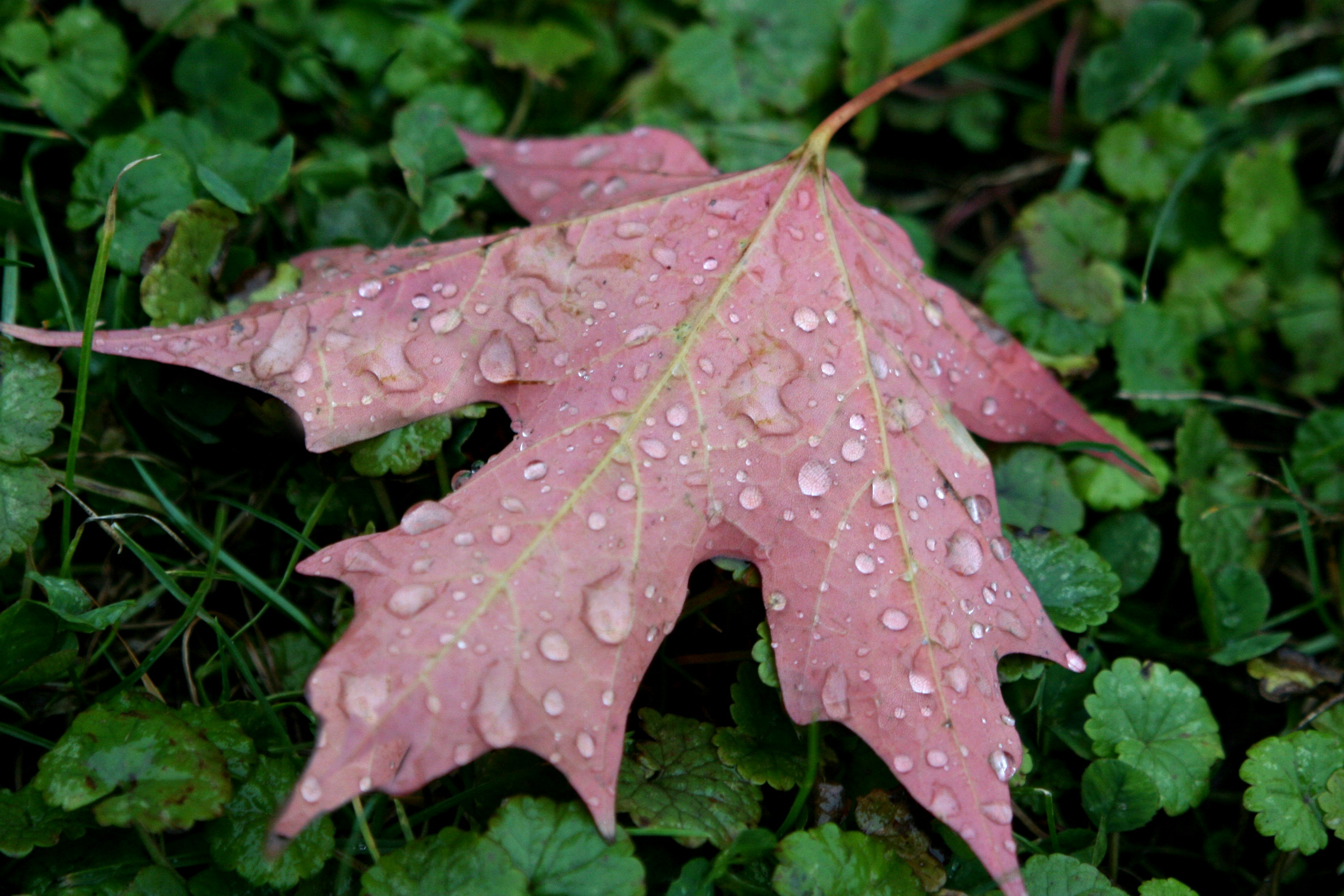 Photo By Carrie O'Brien