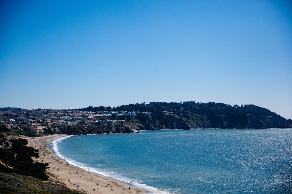 beach during daytime