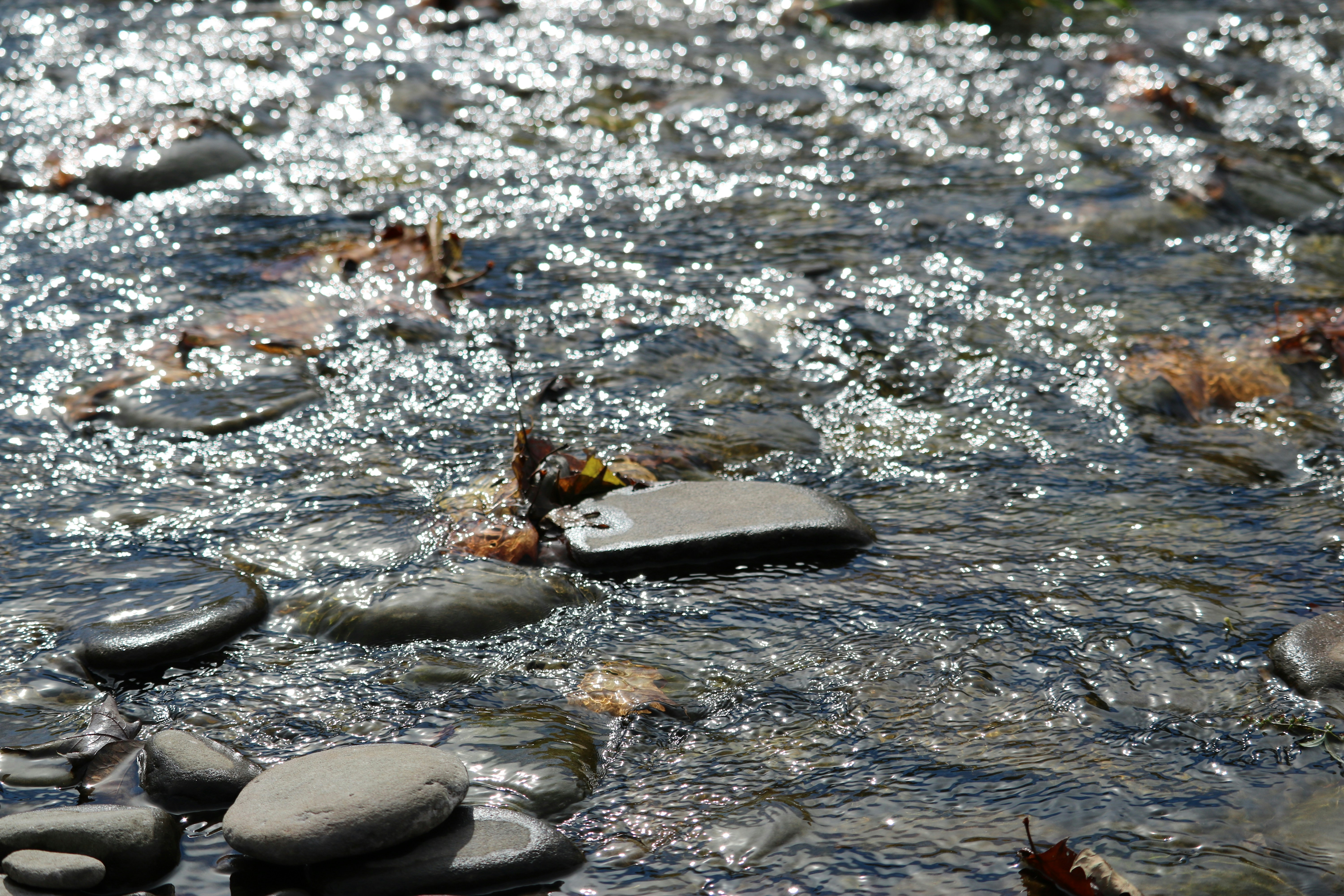 Free Unsplash photo from Izabela Monick