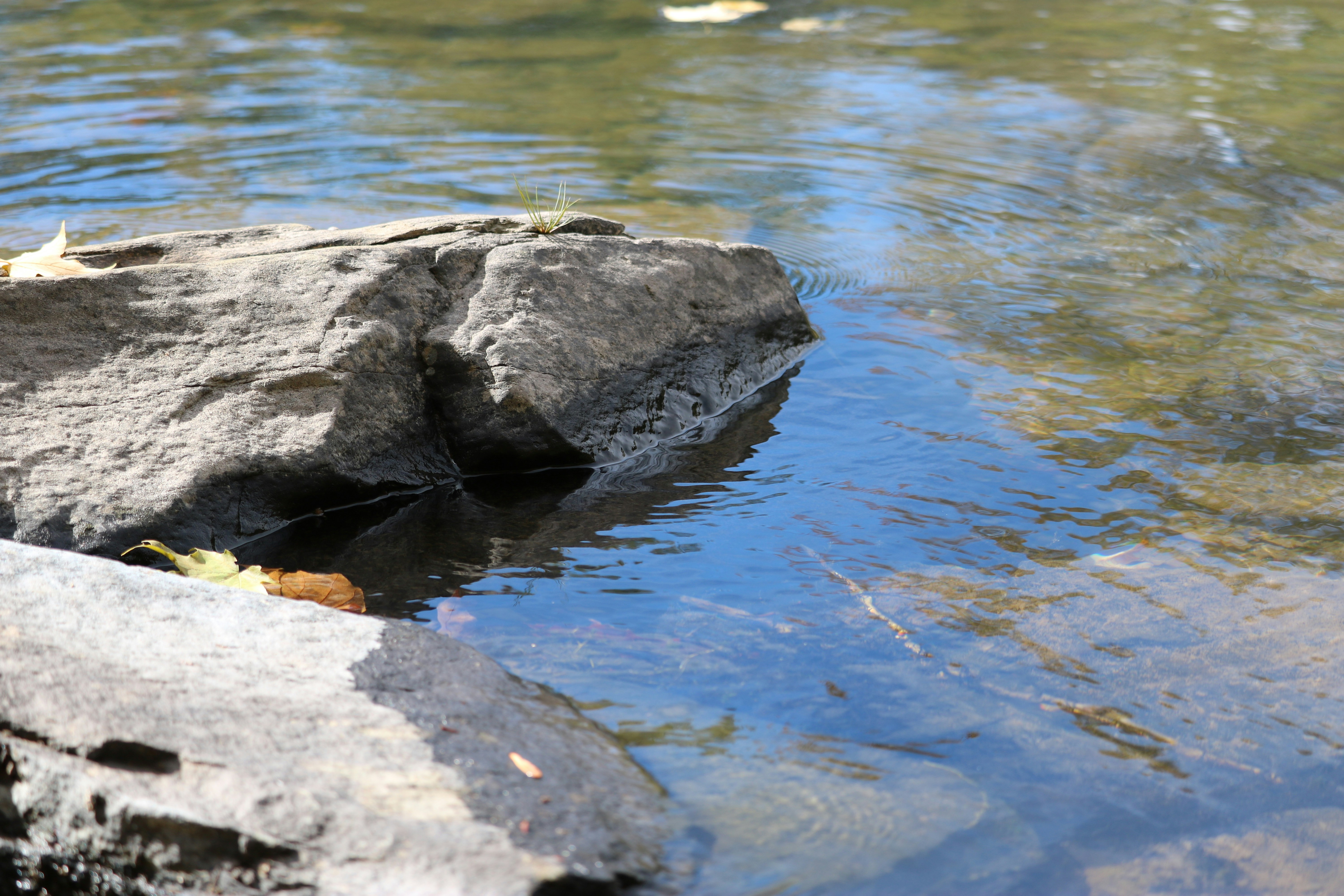 Free Unsplash photo from Izabela Monick