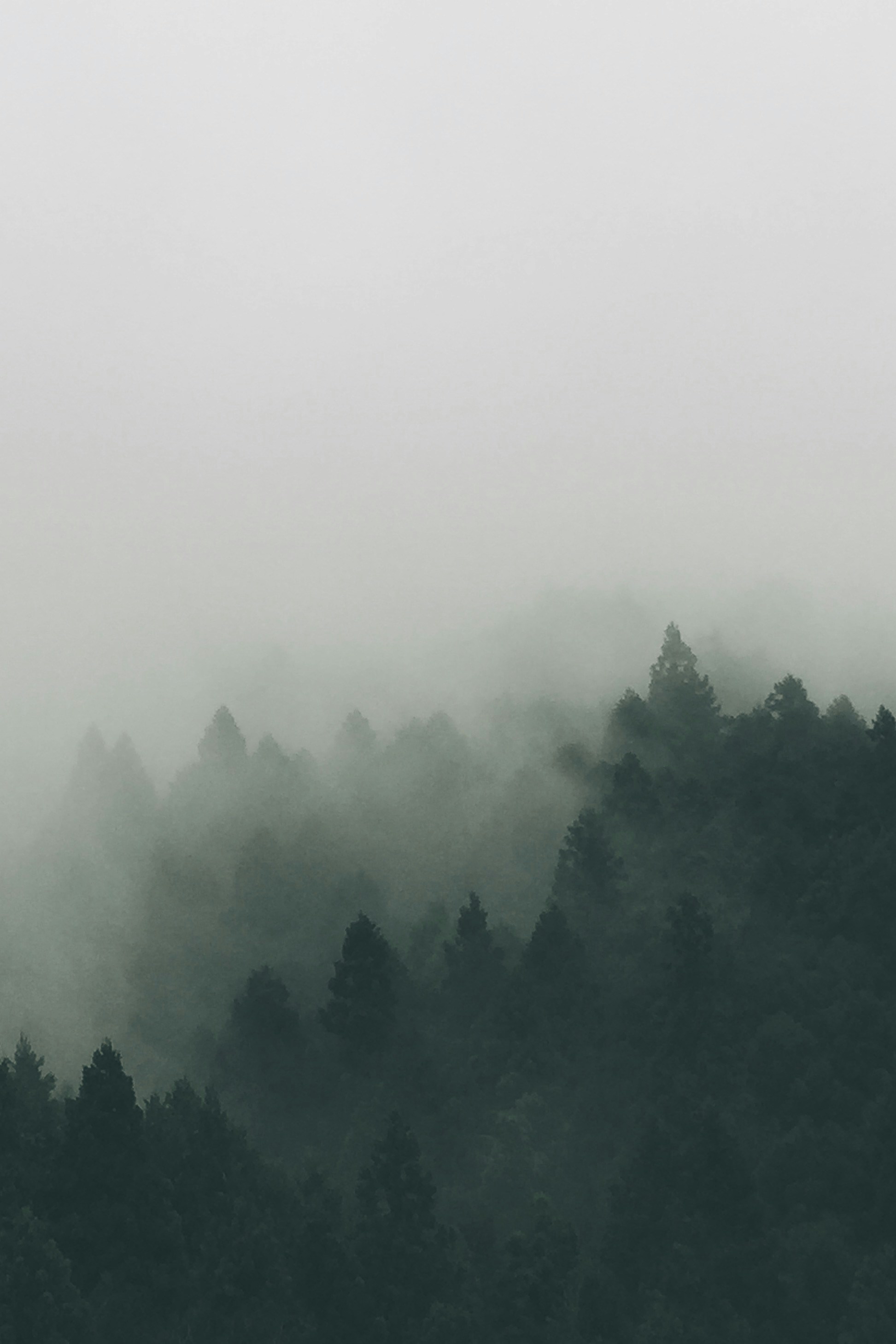 Beacons banner for @santy