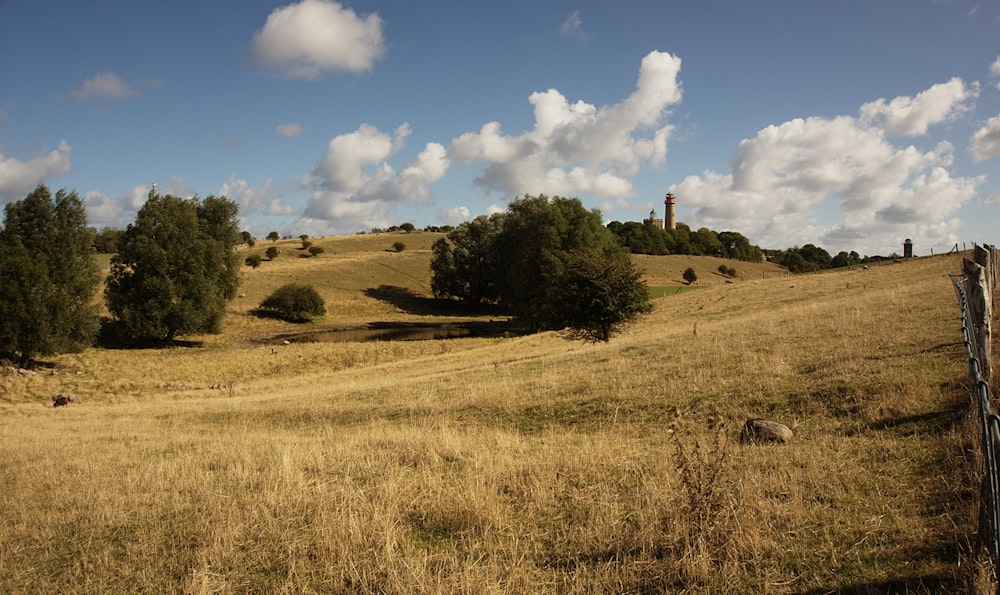 árbol verde