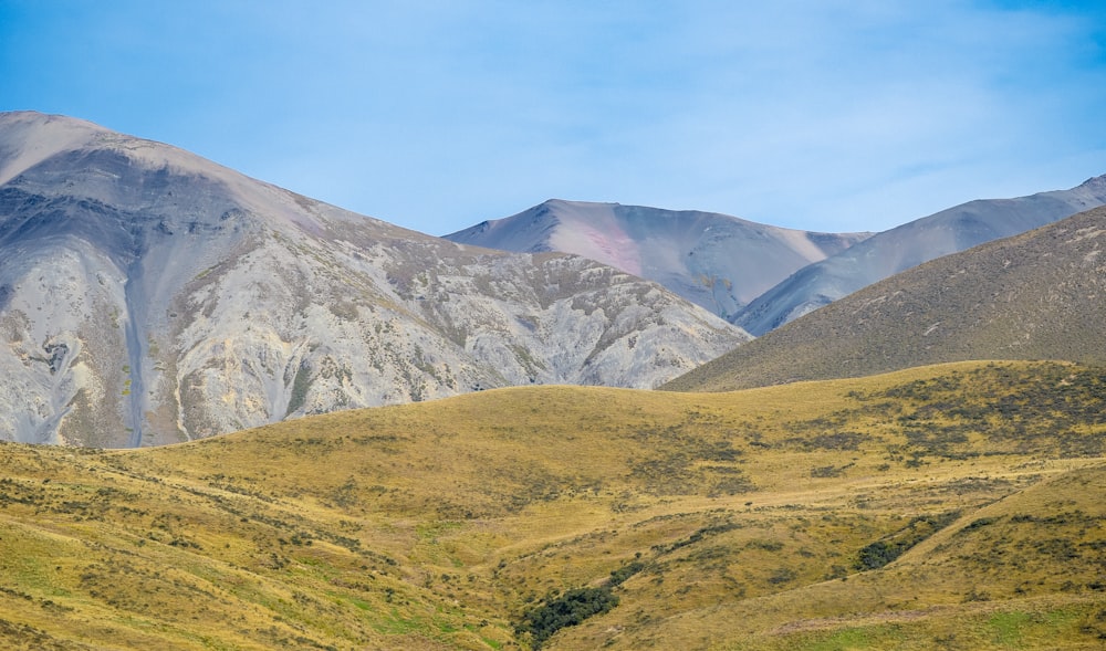 landscape photo of green field and mountainms