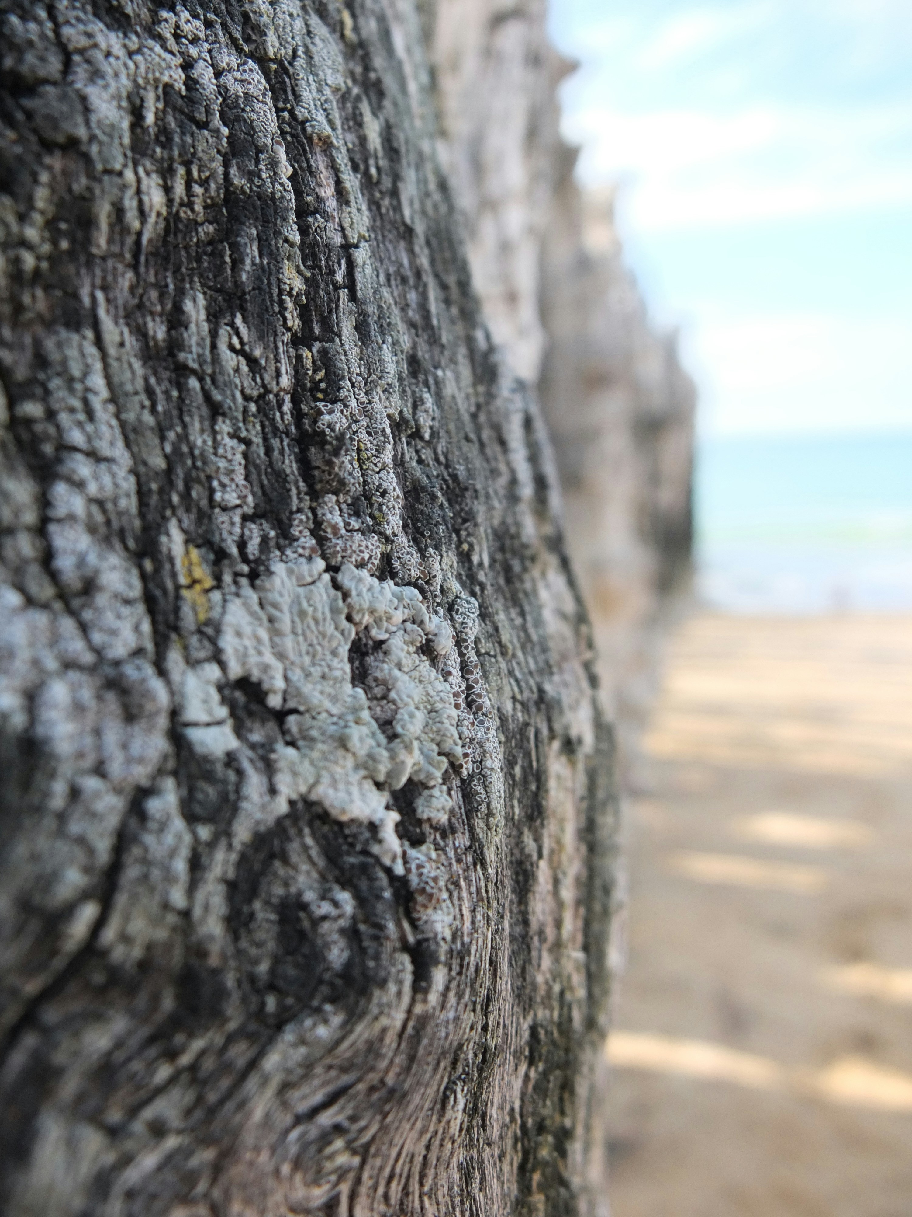 Free Unsplash photo from Fabien POLINSKI