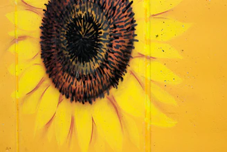 A vibrant window painting of a blooming sunflower brightening a storefront.