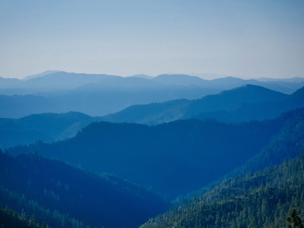 árvores verdes nas montanhas durante o dia