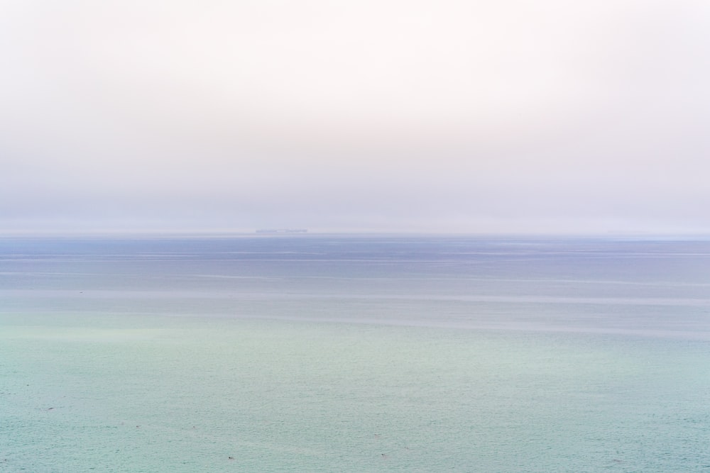 緑の野原の風景写真