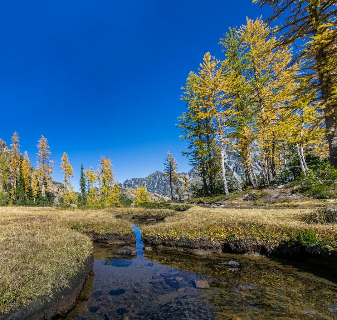 travelers stories about Nature reserve in Lake Ingalls, United States