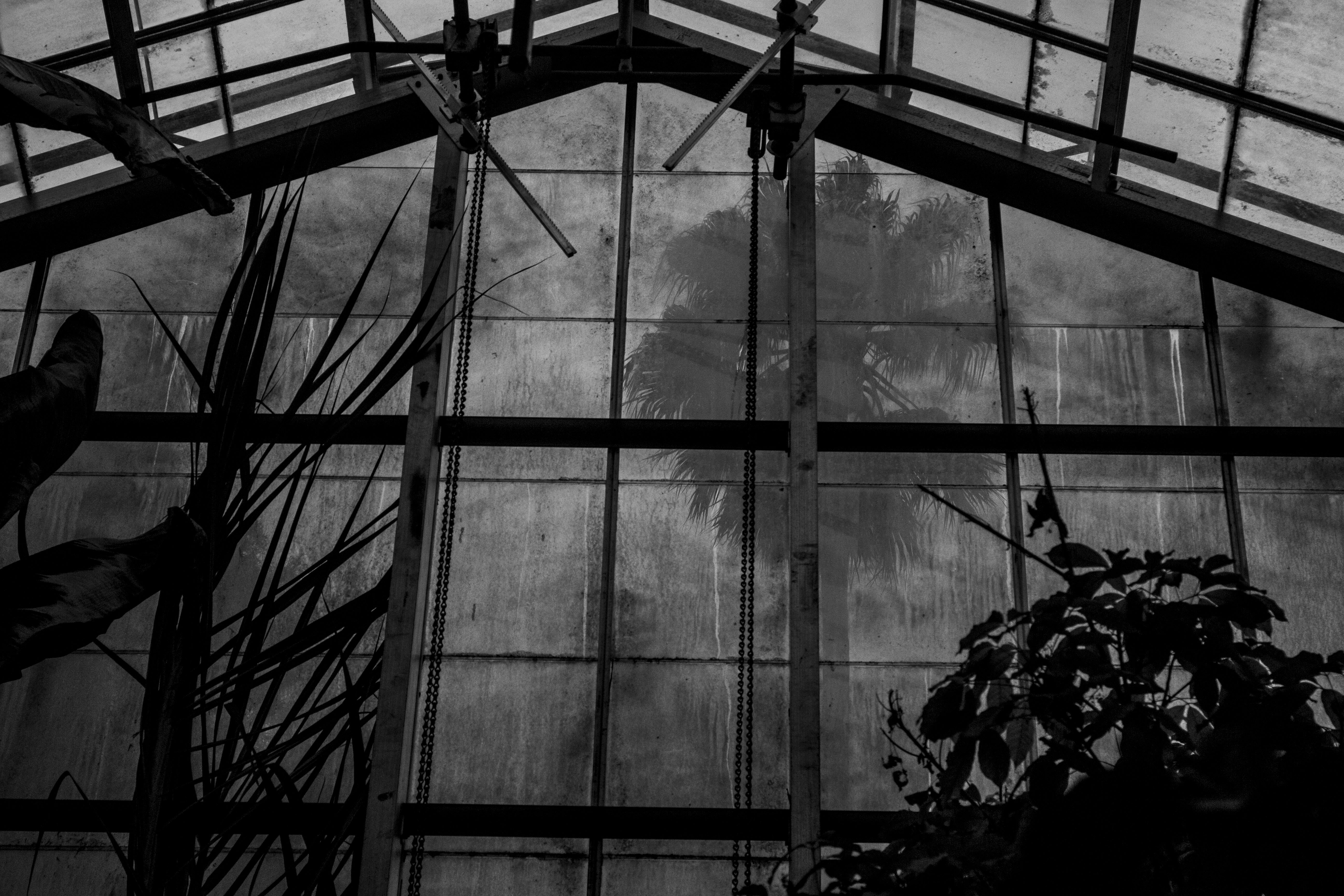 Free Unsplash photo from Andy Wang