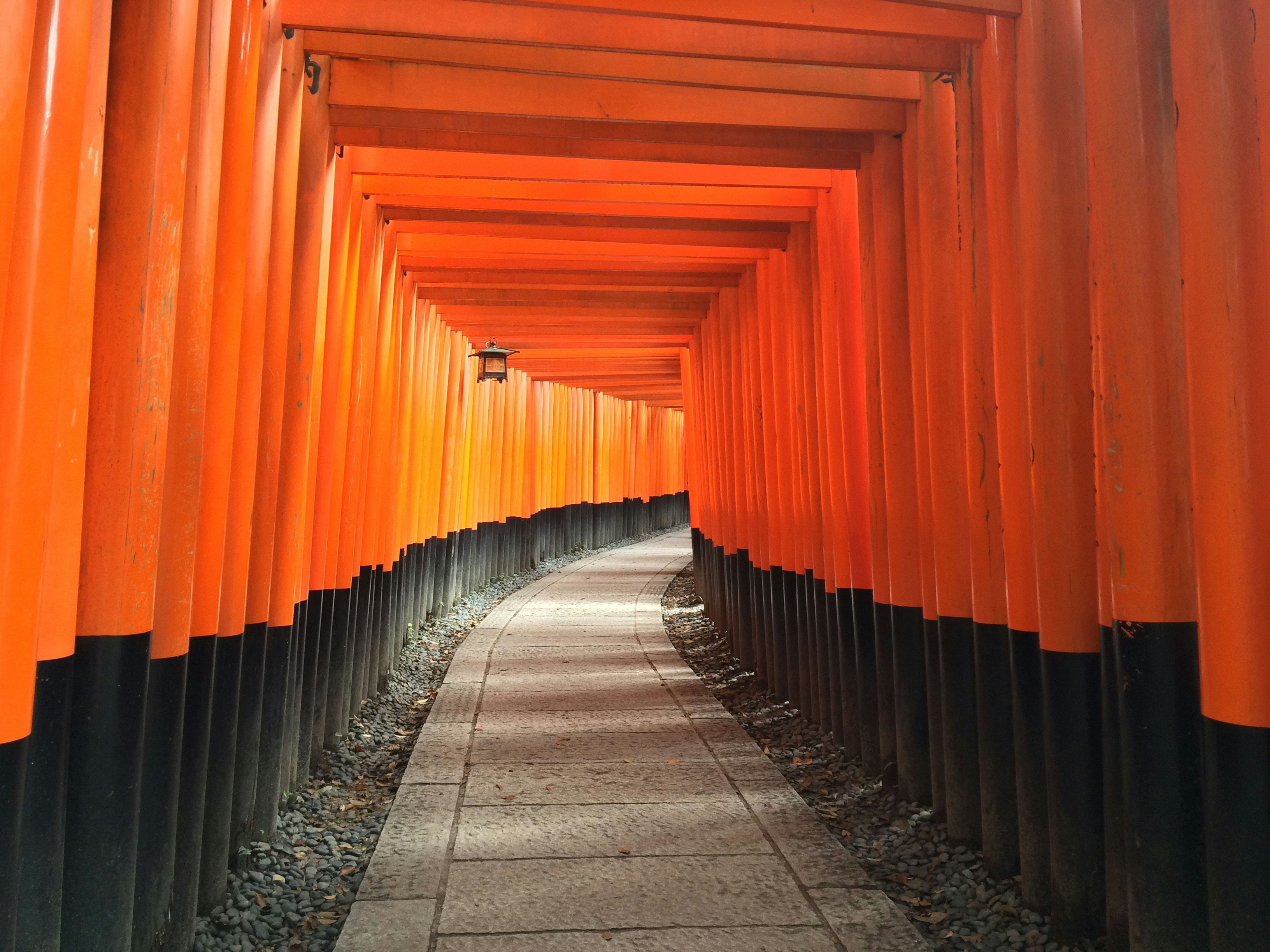 Kyoto, 京都府, 日本 orange hallway