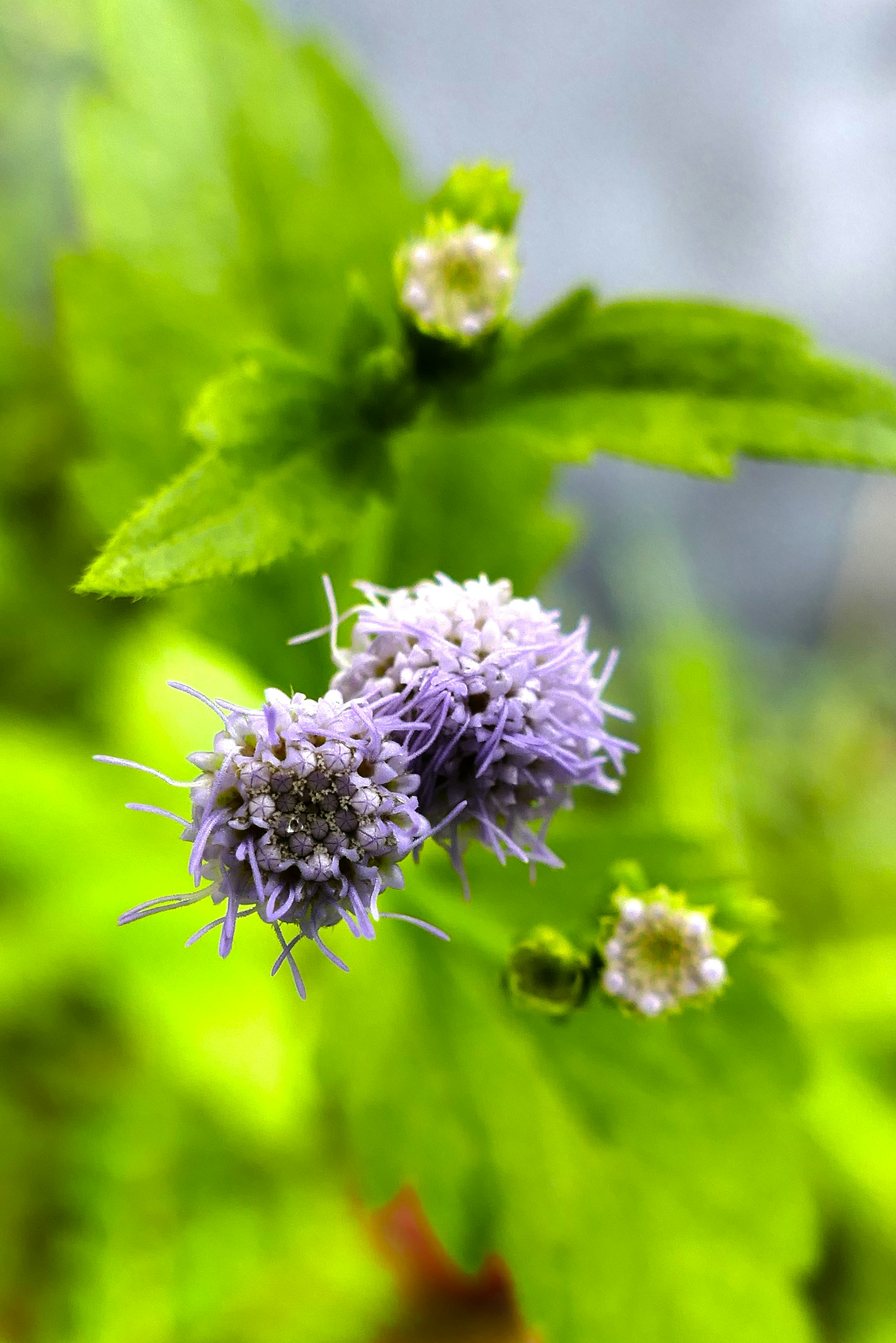 Free Unsplash photo from qinghill