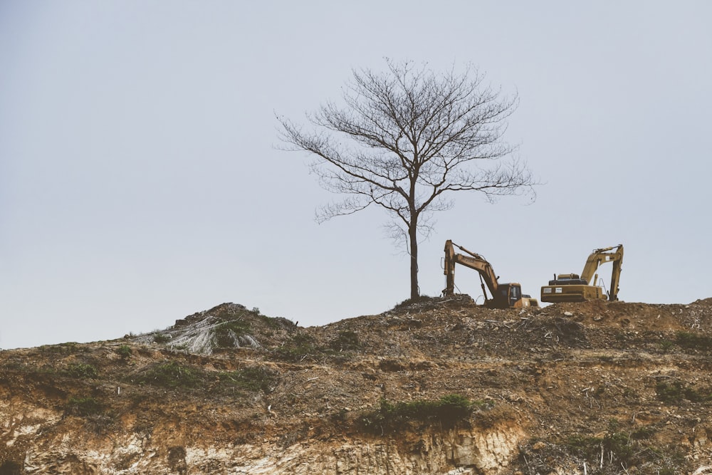 Árbol desnudo junto a una excavadora amarilla