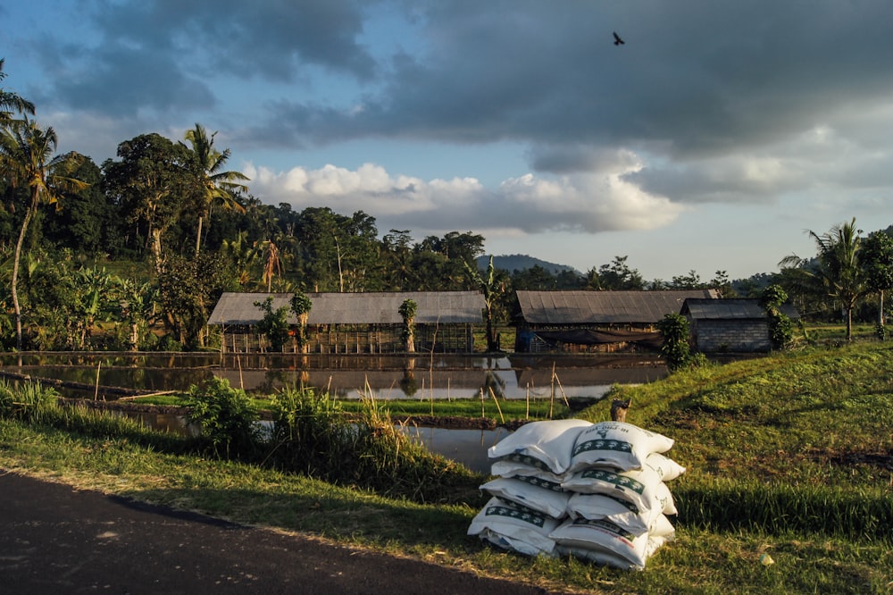 white sacks on grass field and barn at distance