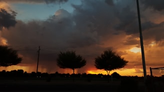 Dark storm clouds loom in the sky with a dramatic sunset illuminating the horizon in orange and yellow hues. Silhouettes of trees and utility poles are visible against the vibrant backdrop, creating a striking contrast between the dark foreground and the bright sky.