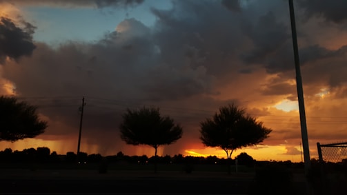 Dark storm clouds loom in the sky with a dramatic sunset illuminating the horizon in orange and yellow hues. Silhouettes of trees and utility poles are visible against the vibrant backdrop, creating a striking contrast between the dark foreground and the bright sky.