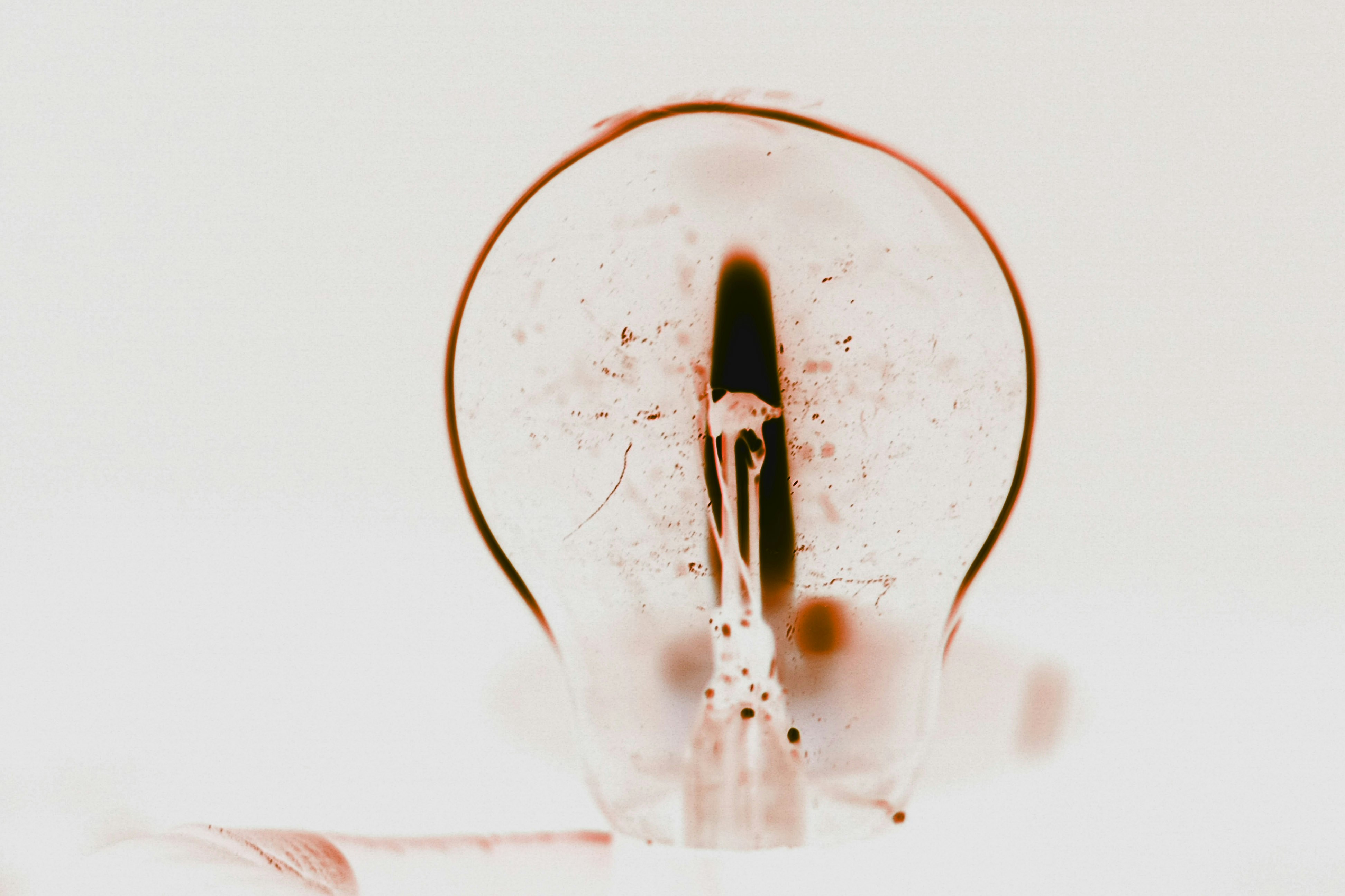 Free Unsplash photo from tertia van rensburg