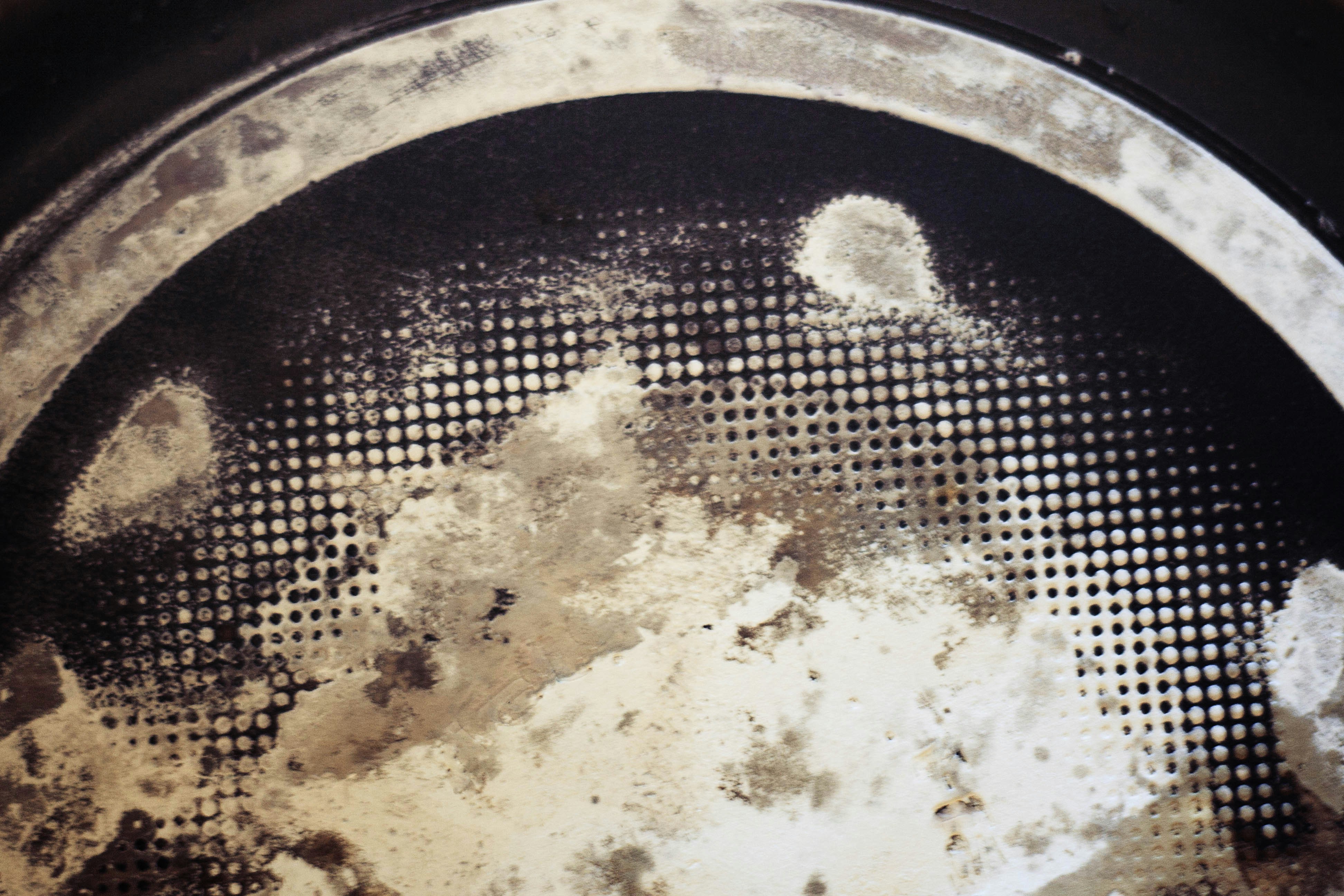 Free Unsplash photo from tertia van rensburg