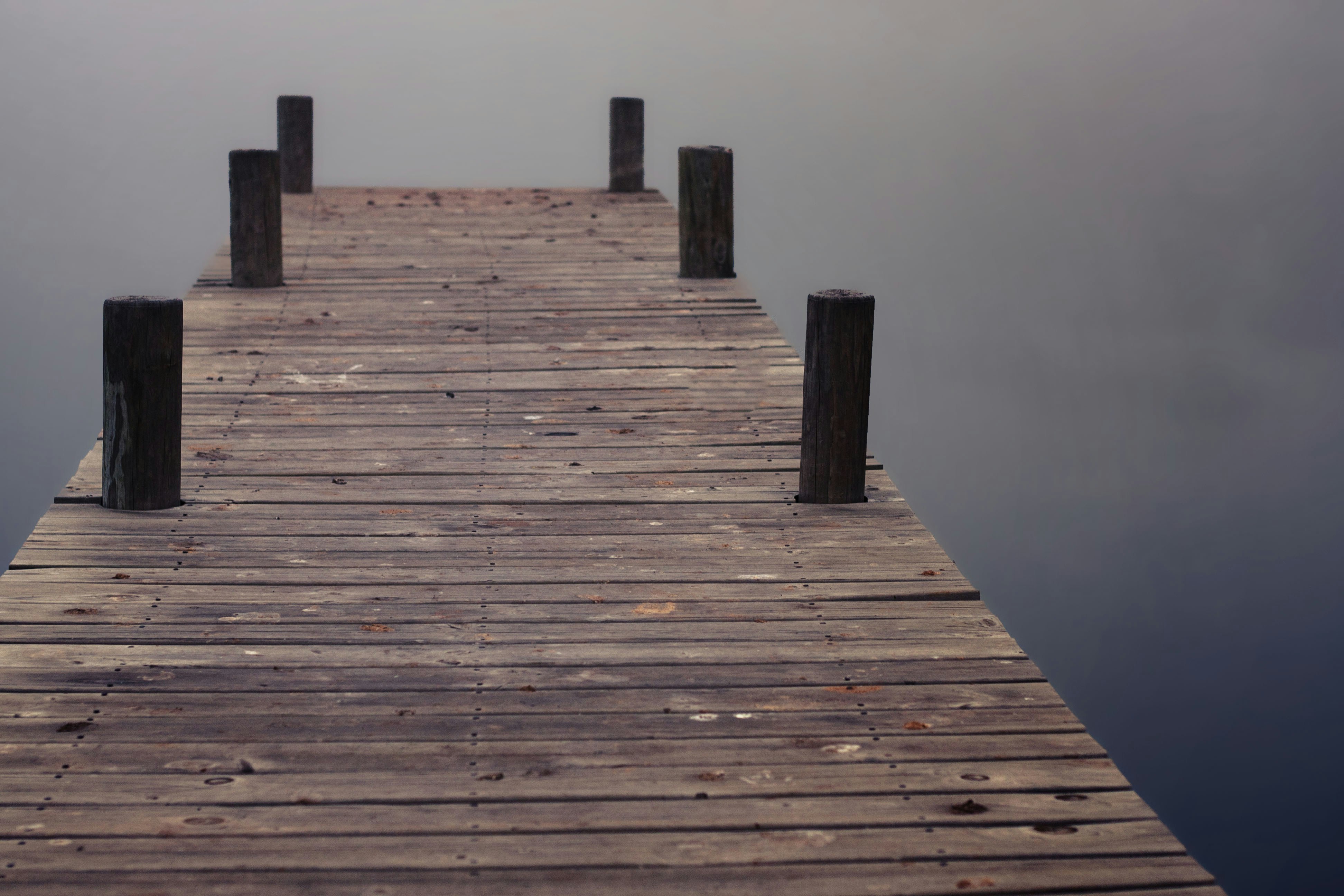 Free Unsplash photo from tertia van rensburg