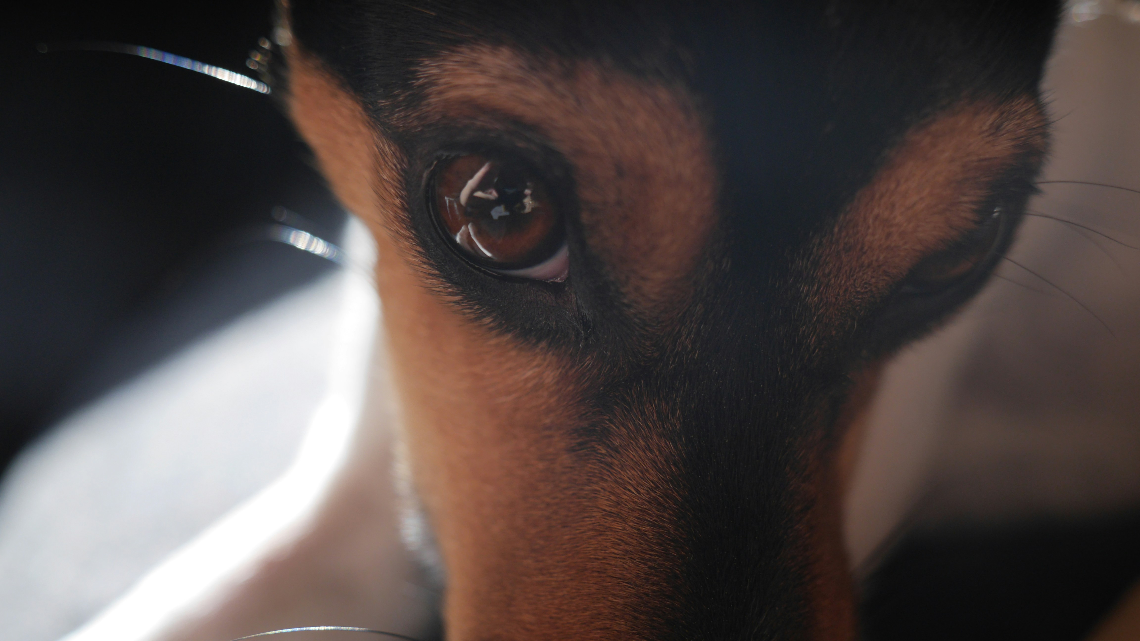 Free Unsplash photo from Tania Carlsen