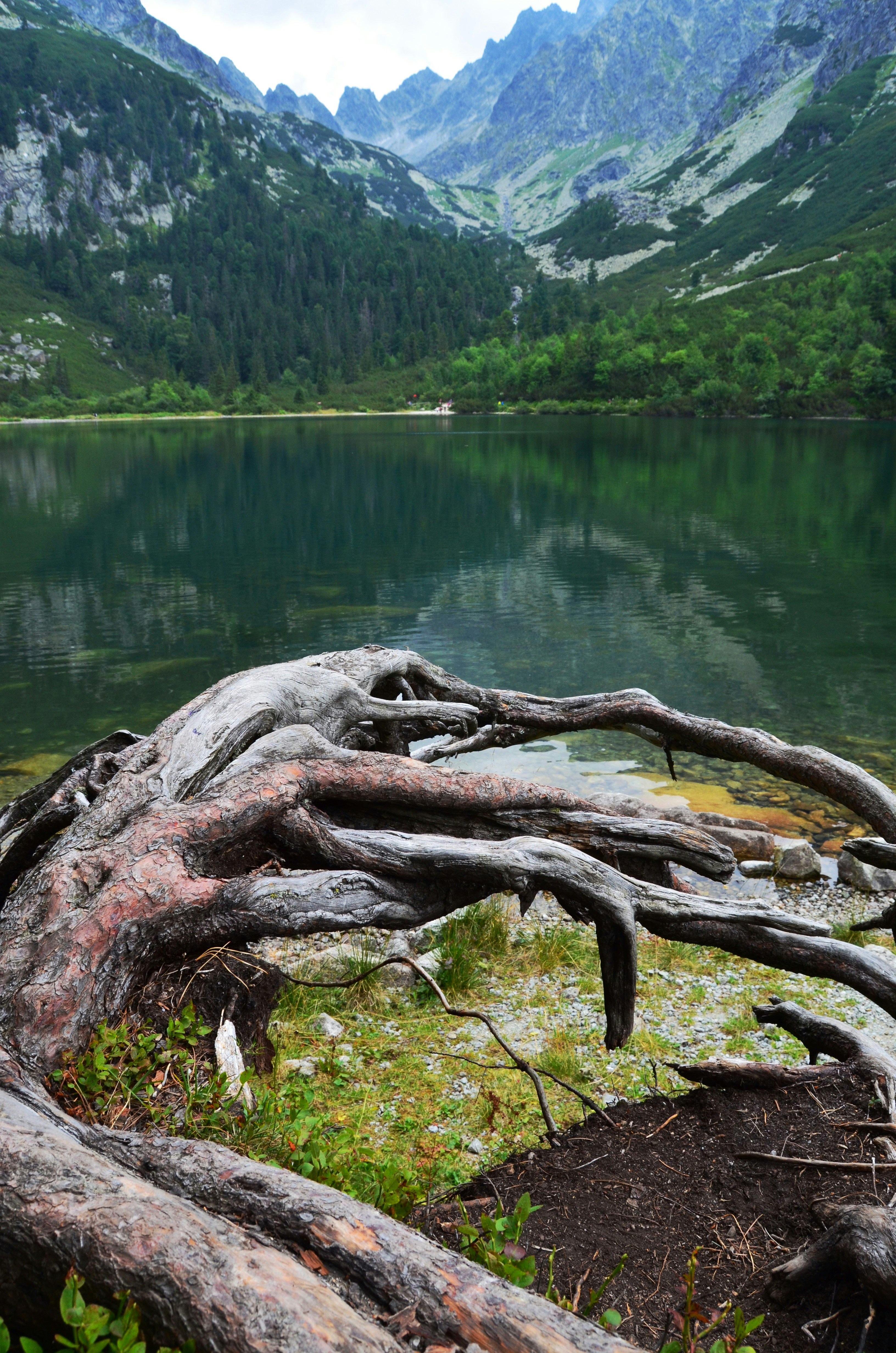 Free Unsplash photo from Katerina Bartosova