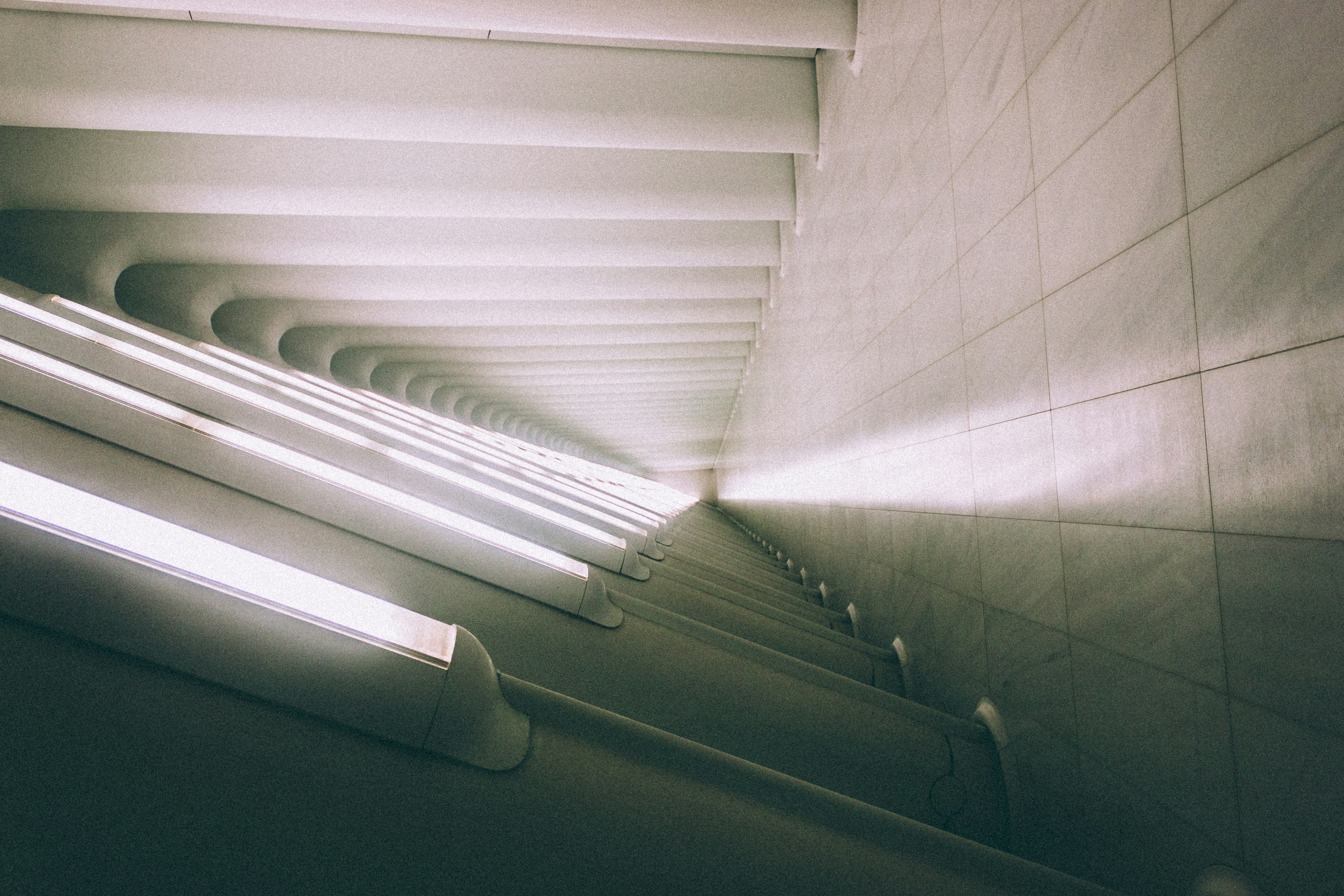 Free Unsplash photo from Nate Goyco