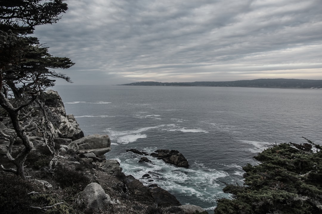 coastline with rocky seashores