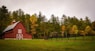 barn surrounded by trees