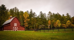 barn surrounded by trees