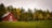 barn surrounded by trees