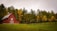 barn surrounded by trees