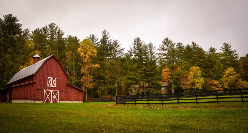 barn surrounded by trees