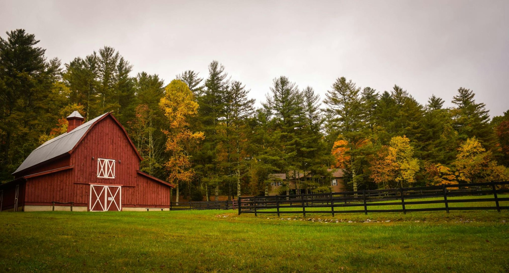 Weekly Grain/Livestock update 9/28/23