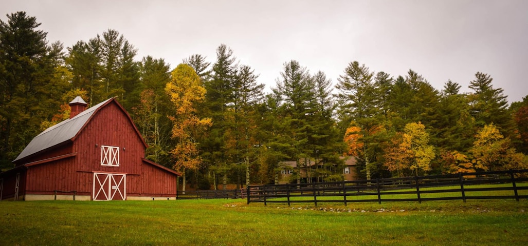 barn surrounded by trees