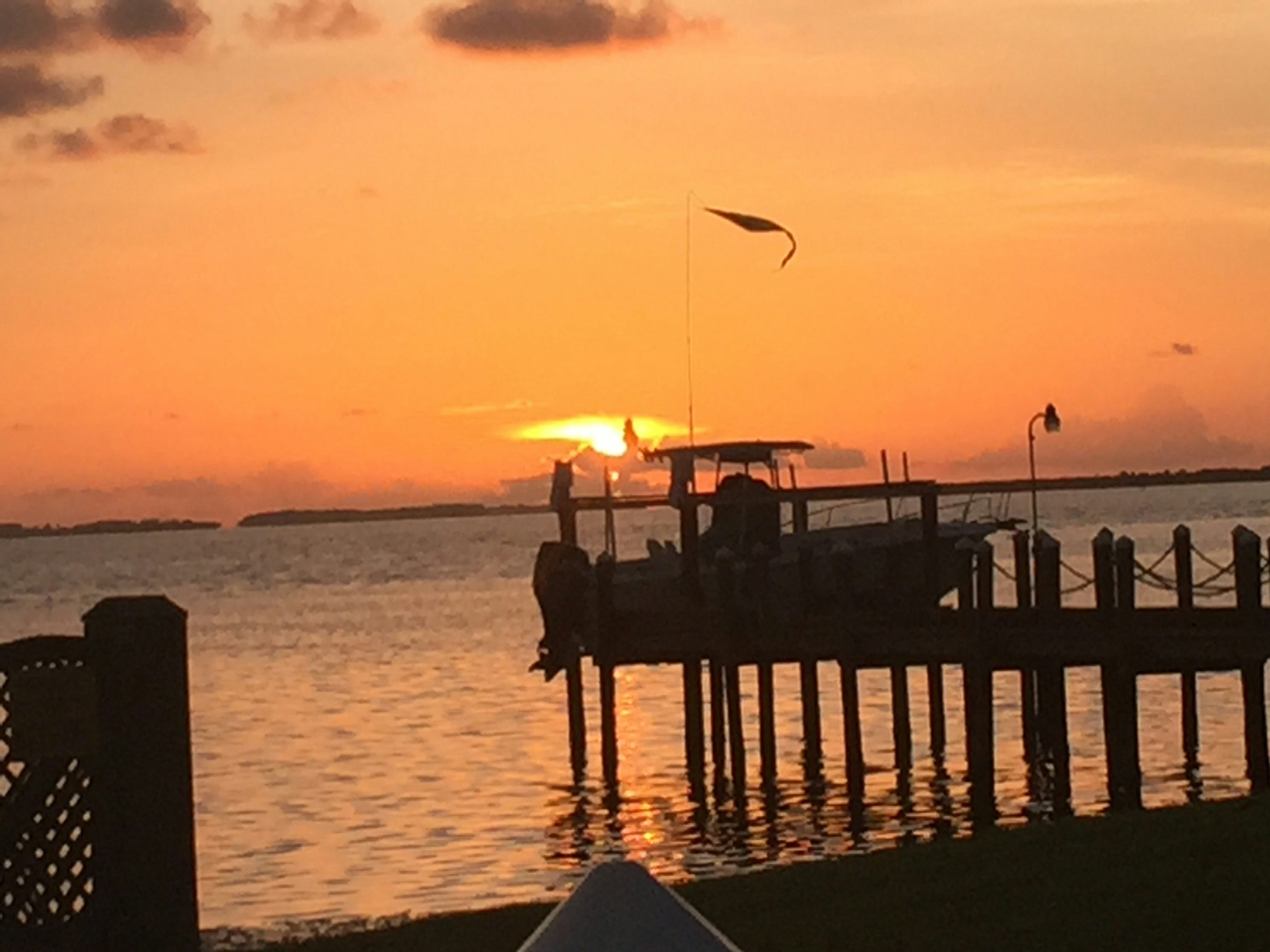 Free Unsplash photo from Sam Whitfield