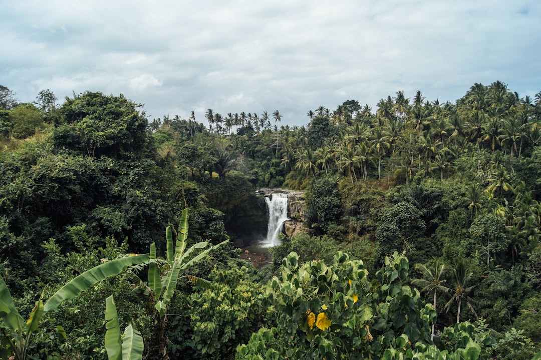 waterfalls surrounded green grass field under gray sky