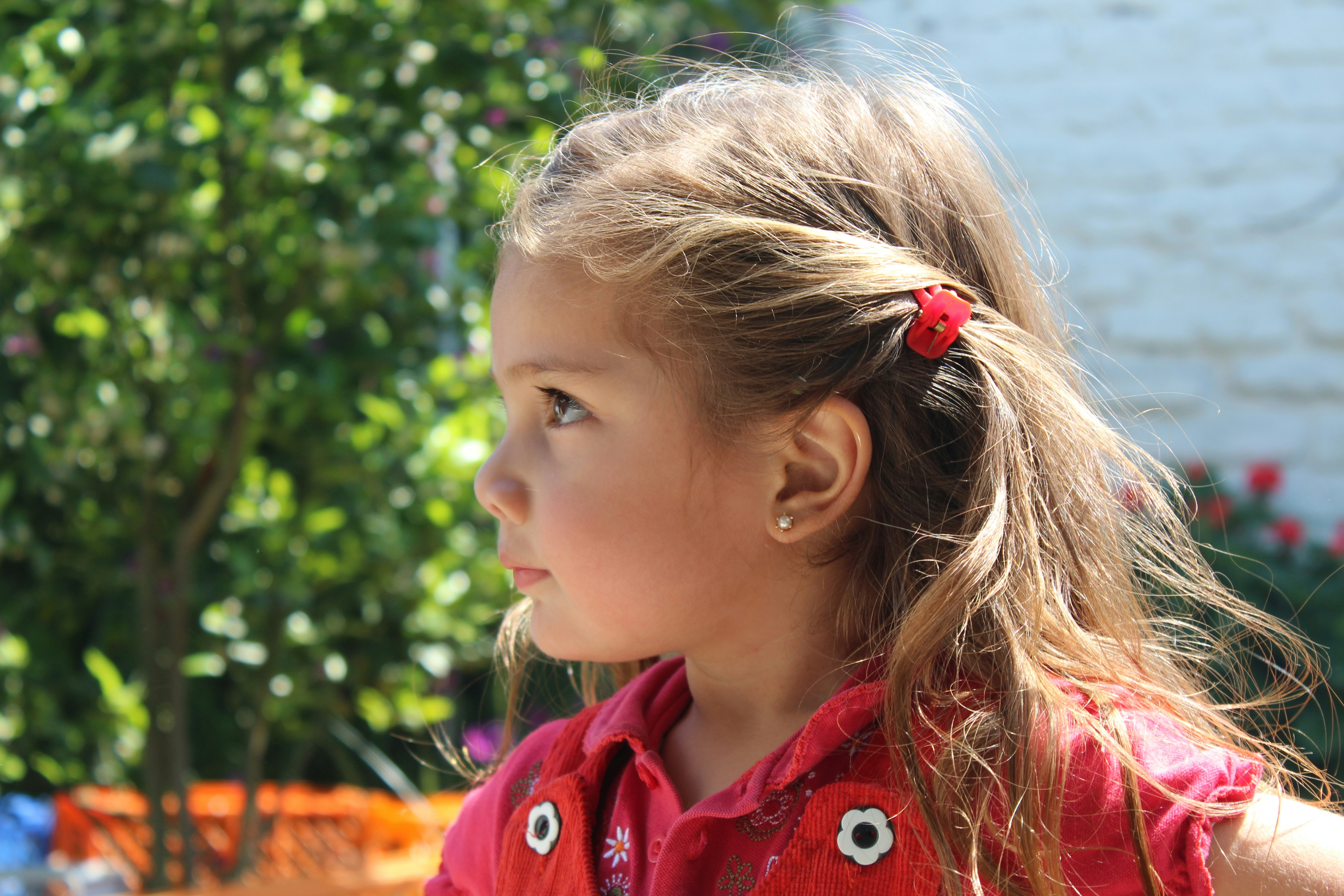 Free Unsplash photo from Luis Aravena Marquez