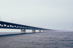 bridge surrounded by body of water during daytime