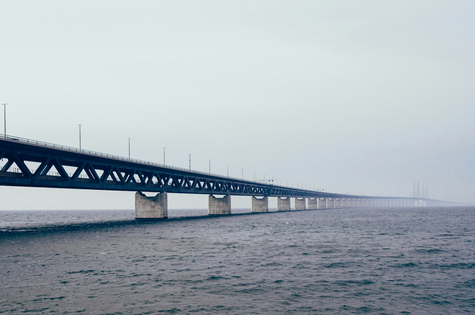 Leica T (Typ 701) sample photo. Bridge surrounded by body photography