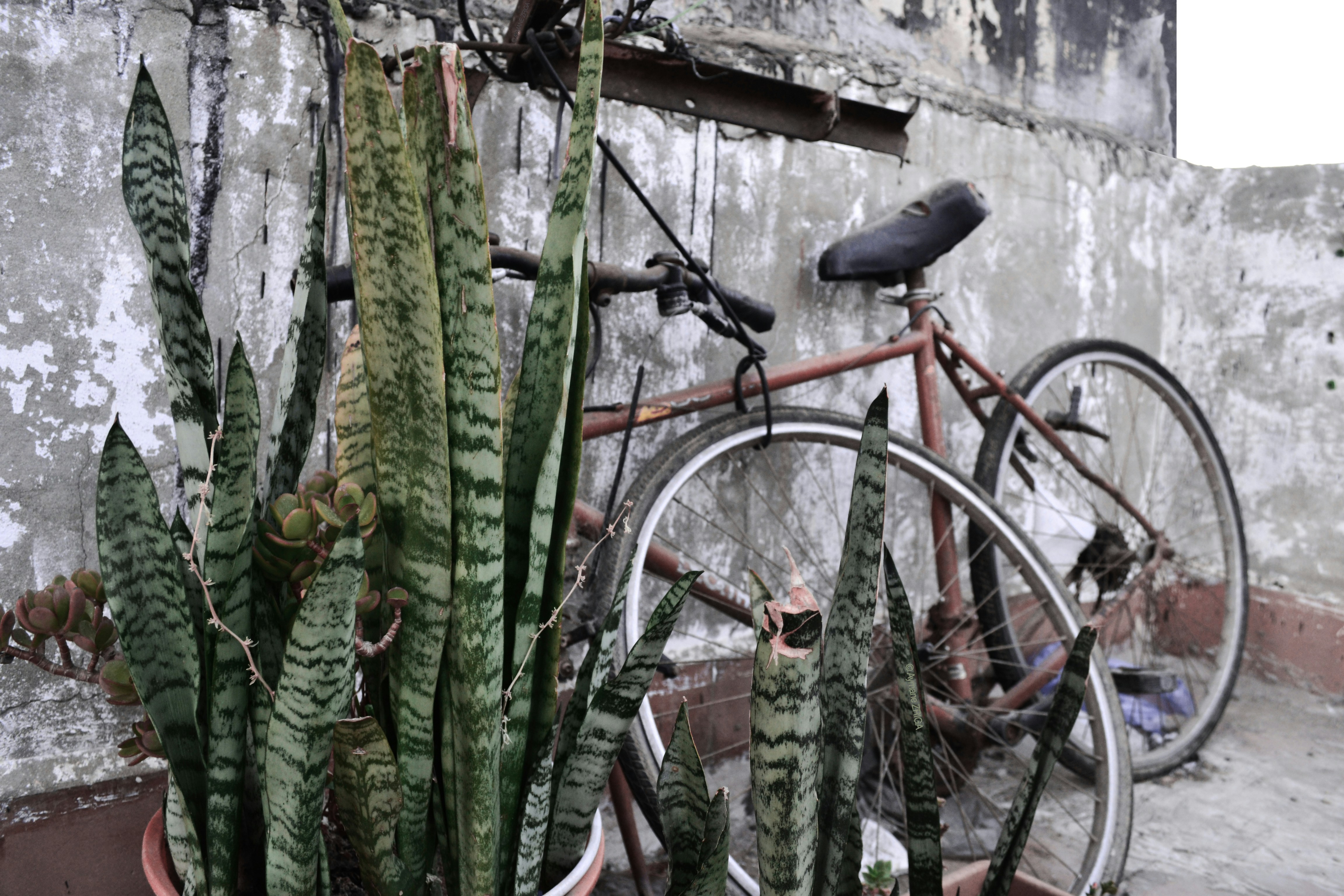 Free Unsplash photo from Aymane Zriga