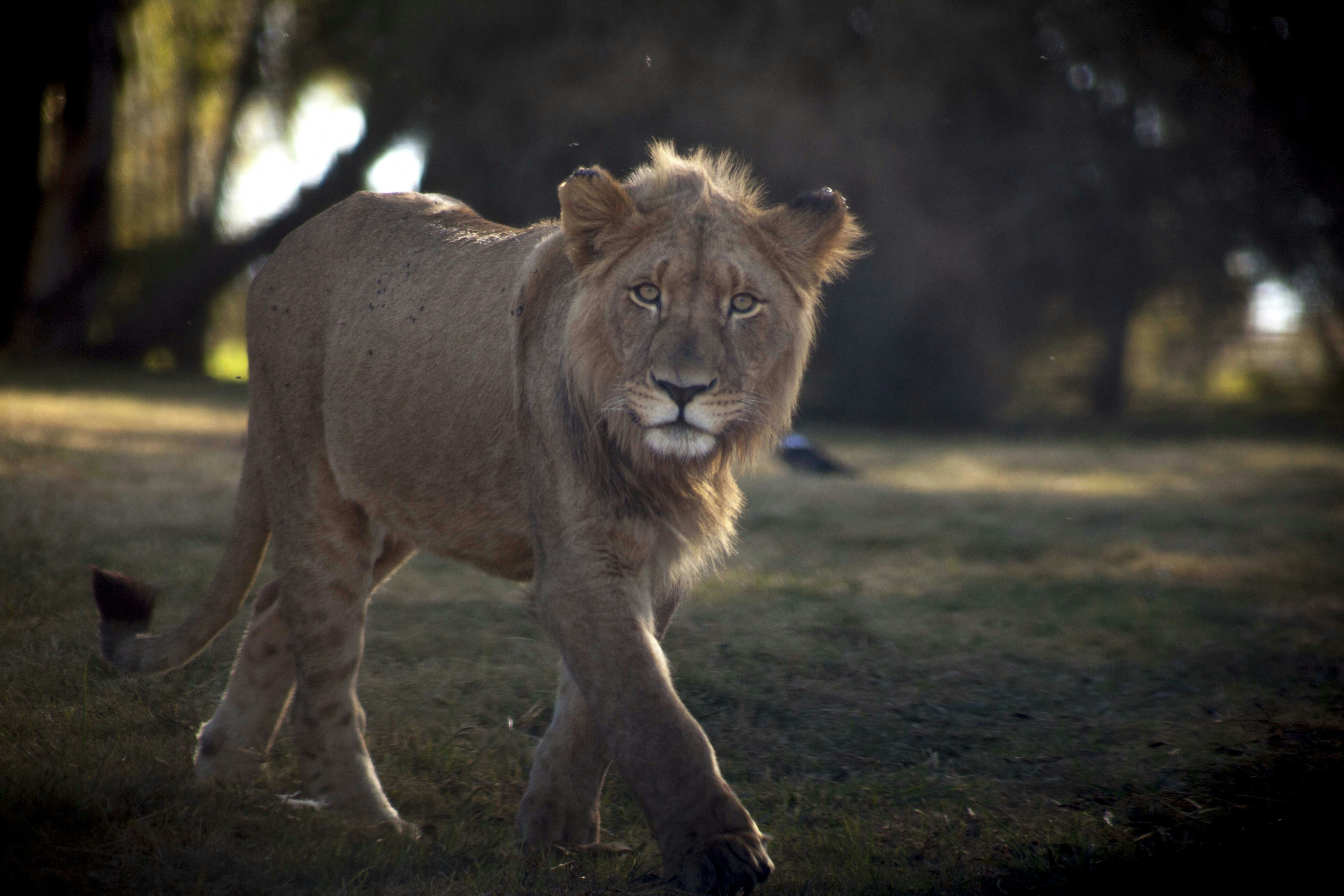 Free Unsplash photo from Jesse Stevenson