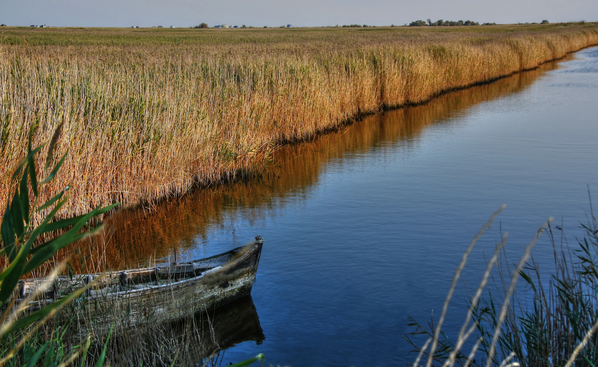 A serene morning on the Danube Delta with a small boat drifting through tall reeds and calm water.