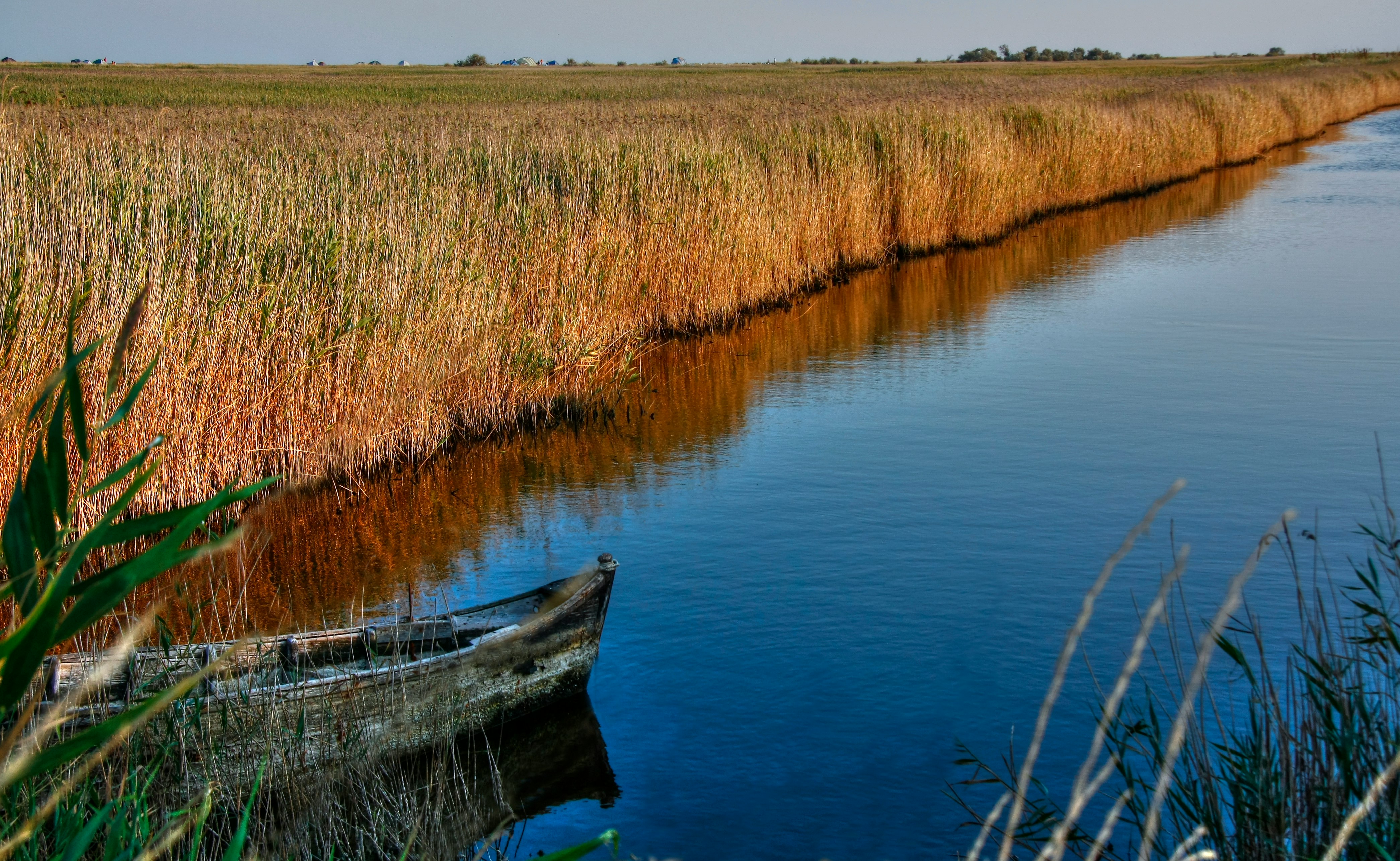 boat on the pond near brown field