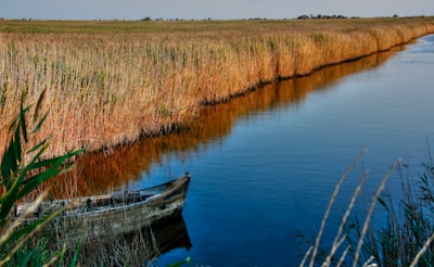 boat on the pond near brown field line teams background